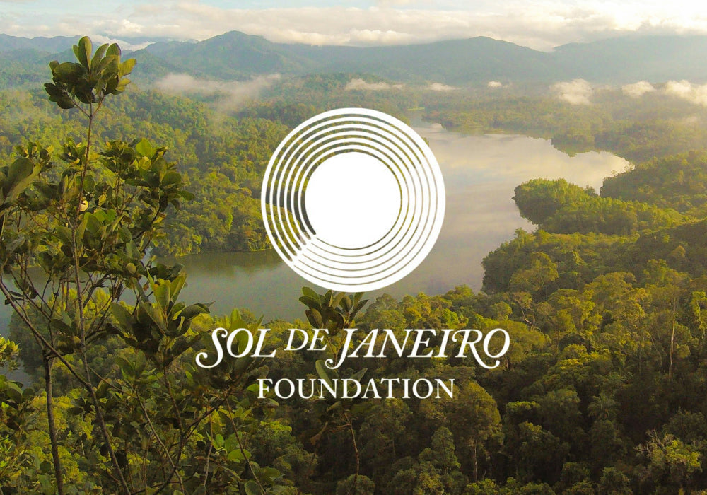 All About the Sol De Janeiro Foundation